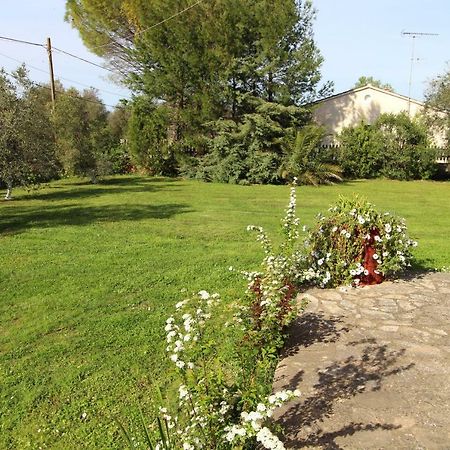 Karoubis Studio Kavallouri Zewnętrze zdjęcie